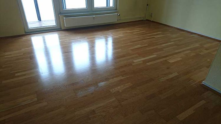 Tackmann Gebäudereinigung und Dienstleistung GmbH in Ebersbach-Neugersdorf